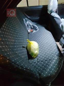 بروتون ويرا